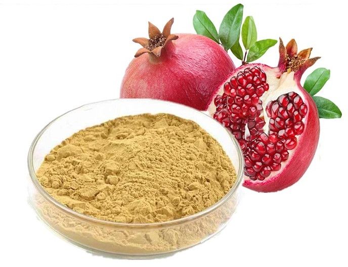 Pomegranate Powder 3